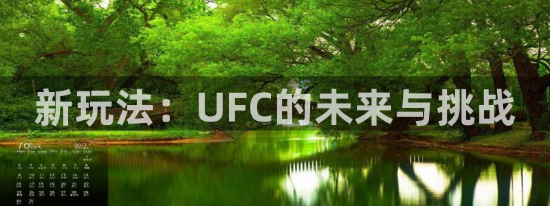 新玩法：UFC的未来与挑战