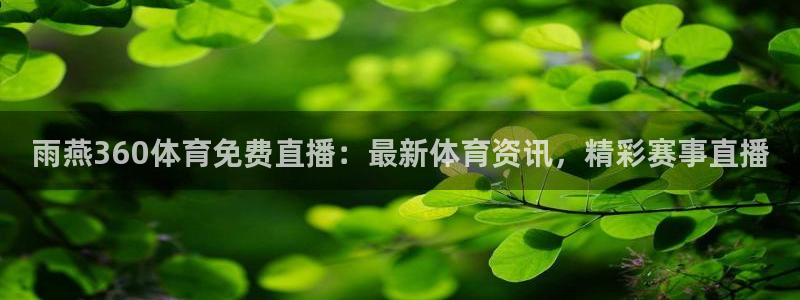 雨燕360体育免费直播：最新体育资讯，精彩赛事直播