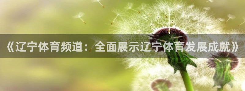 《辽宁体育频道：全面展示辽宁体育发展成就》