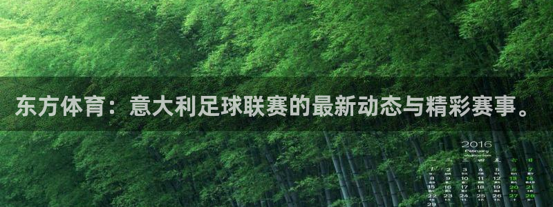东方体育：意大利足球联赛的最新动态与精彩赛事。