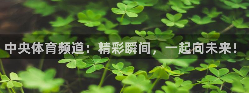 中央体育频道：精彩瞬间，一起向未来！