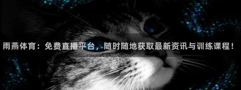 雨燕体育：免费直播平台，随时随地获取最新资讯与训练课程！